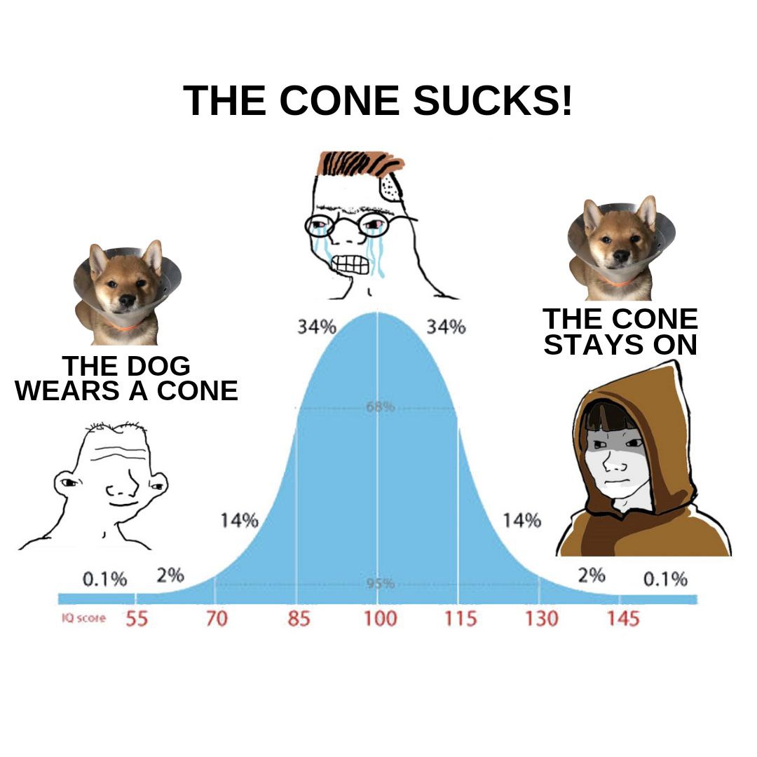 MEMES of Cone