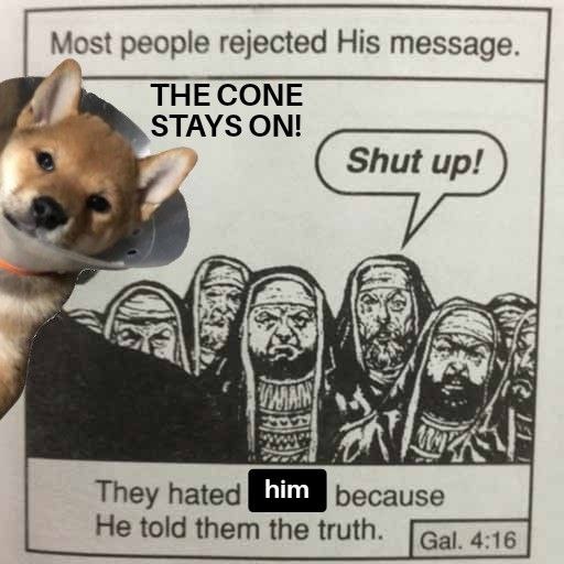 MEMES of Cone