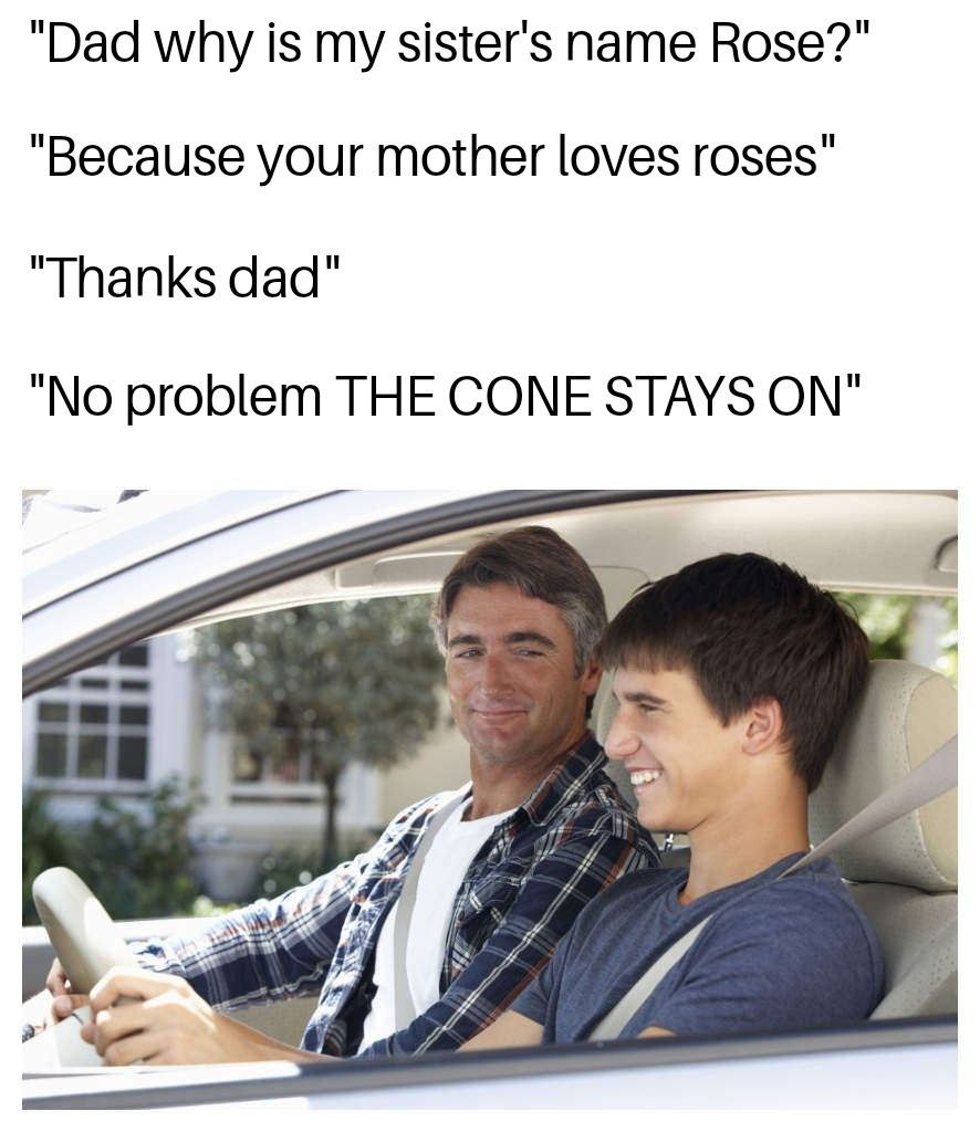 MEMES of Cone