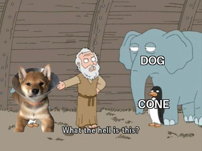 MEMES of Cone