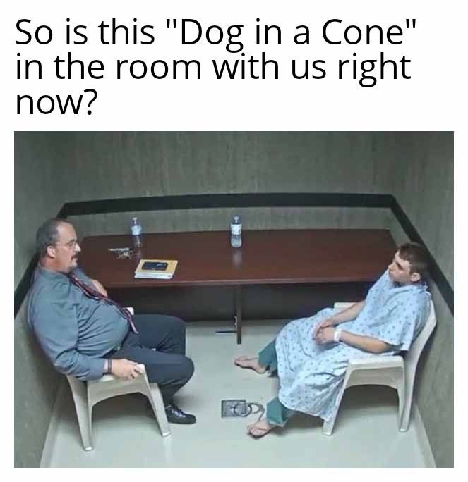 MEMES of Cone