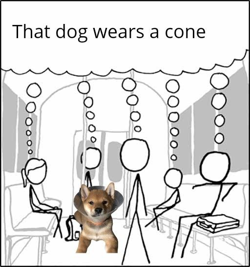 MEMES of Cone