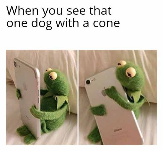 MEMES of Cone