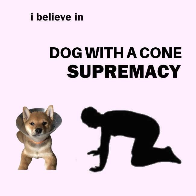 MEMES of Cone